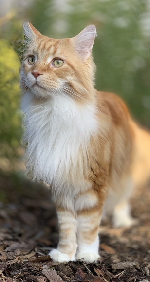 Namaste - Picture 9 of 16